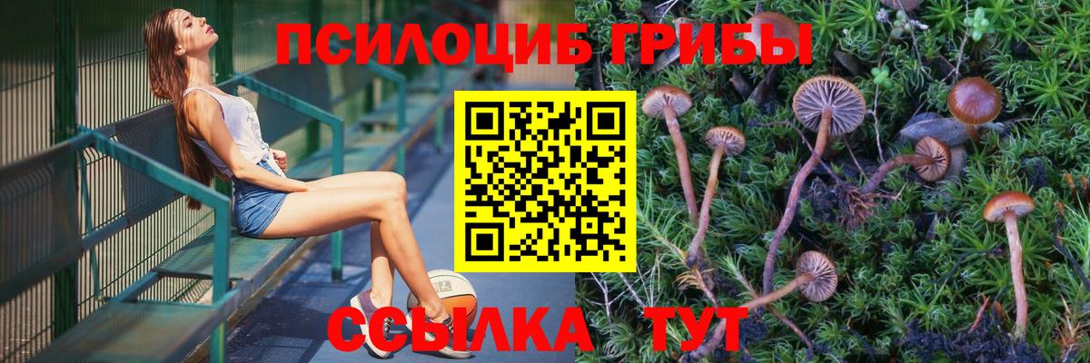 Орск  Псилоцибиновые грибы прущие грибы  Вход с VPN 