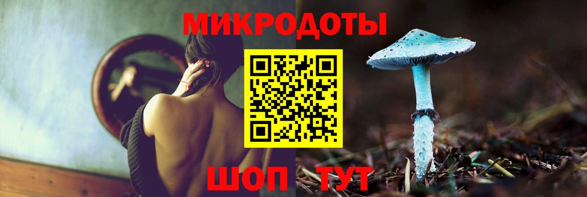 Псилоцибиновые грибы Psilocybe Орск